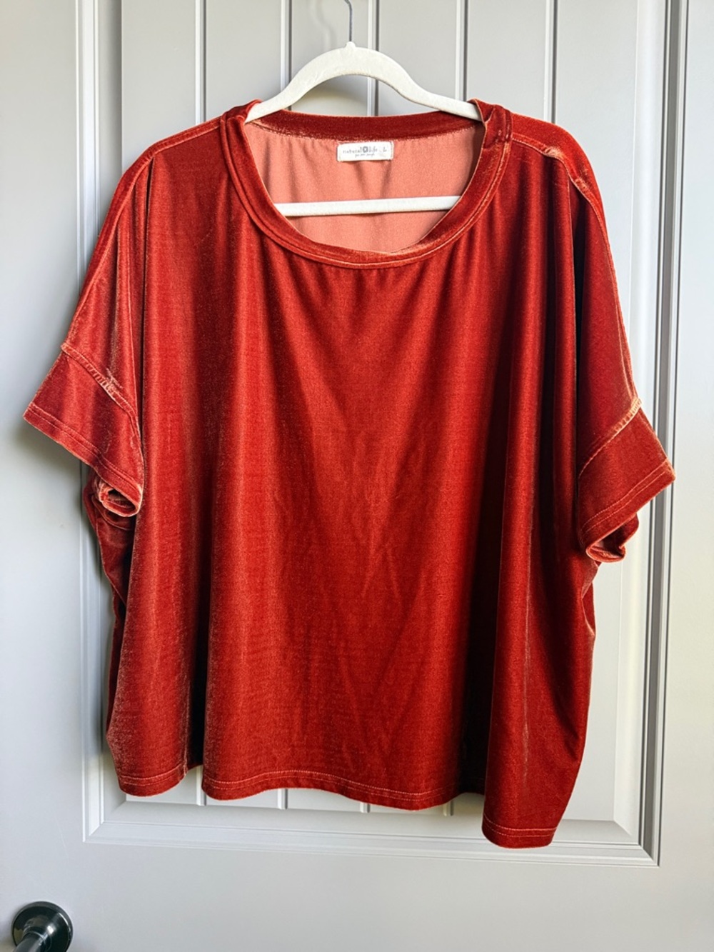NATURAL LIFE Soft Velvet Short Sleeve Top in Rust